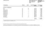 germany o2 bill template,editable in photoshop.psd fake template,pay by bitcoin,paypal or card